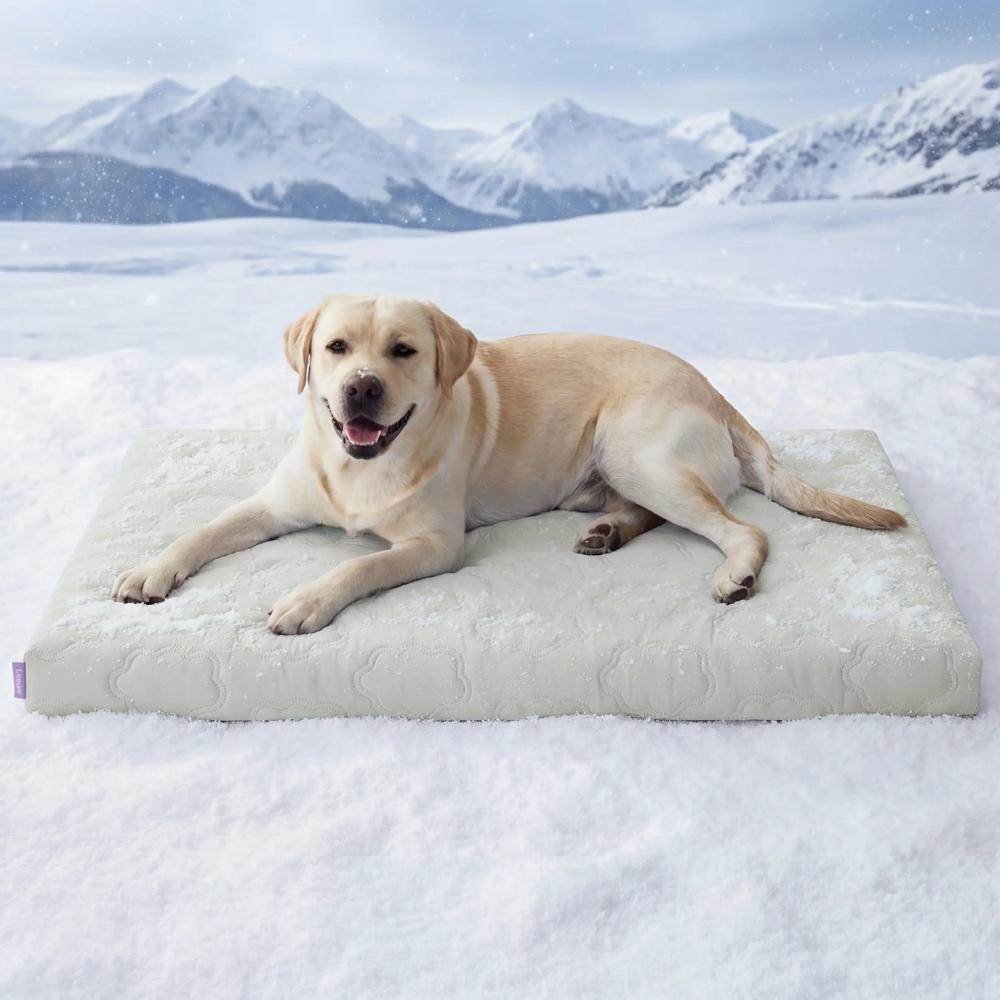 Lesure Cooling Orthopedic Dog Thick Mat – Q-Max>0.5 Cooling Mat with Washable Cover, Egg Crate Foam Non-Slip Bed for Extra Large Dogs Summervibes