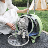 Pet carrier on wheels with a green shell and a cat at the open window