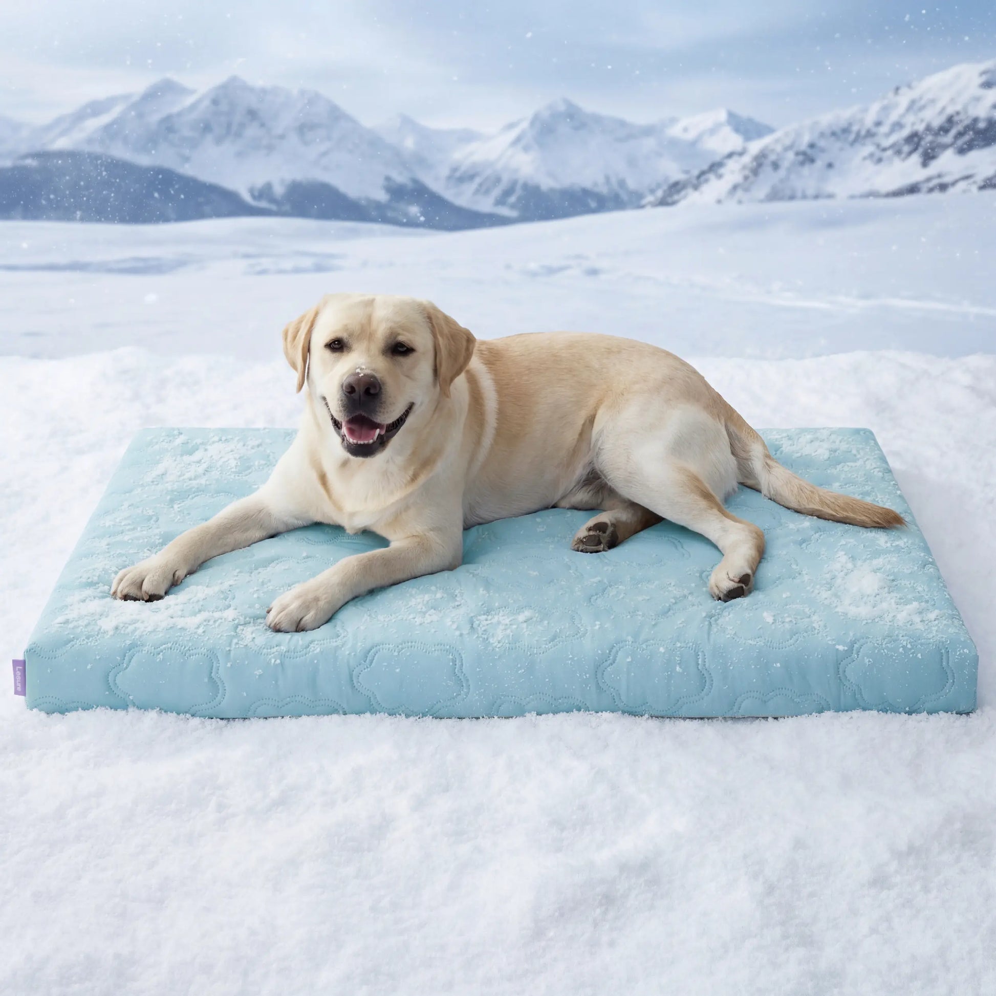Bedsure Cooling Thin & Thick Mat for Dogs – Q-MAX>0.4 Washable Pet Cooling Pad, No Gel, No Electric, Non-Slip Summer Crate Bed for Large Dogs Summervibes