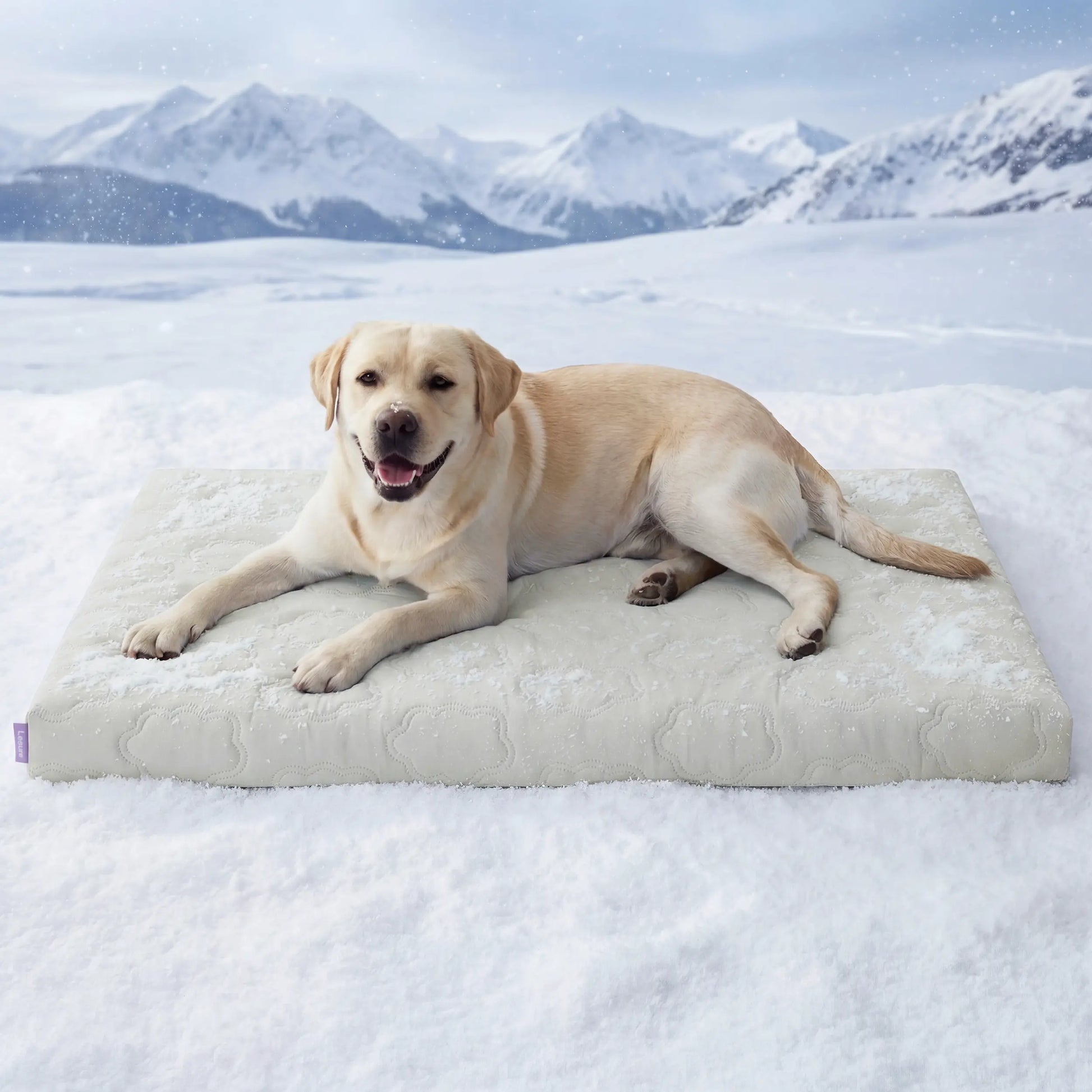 Lesure Cooling Orthopedic Dog Thick Mat – Q-Max>0.5 Cooling Mat with Washable Cover, Egg Crate Foam Non-Slip Bed for Extra Large Dogs Summervibes
