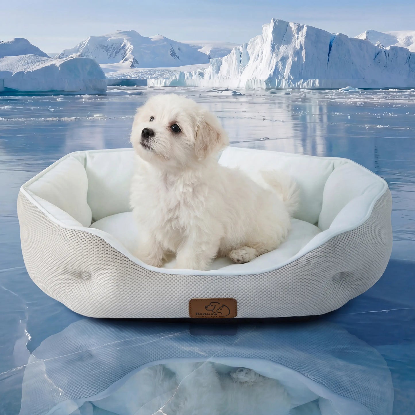 Bedsure Cooling Dog Beds for Small Dogs – Q-MAX>0.4 round Cat Beds for Indoor Cats, Washable Pet Bed for Puppy and Kitten with Slip-Resistant Bottom Summervibes