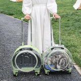 Two pet carriers on wheels, green and clear green