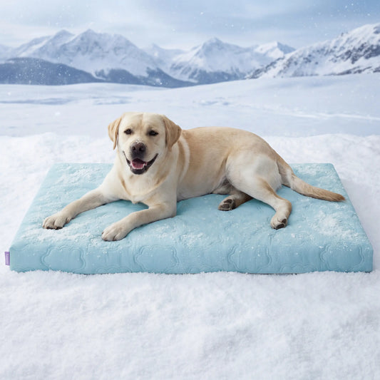 Lesure Cooling Orthopedic Dog Thick Mat – Q-Max>0.5 Cooling Mat with Washable Cover, Egg Crate Foam Non-Slip Bed for Extra Large Dogs Summervibes