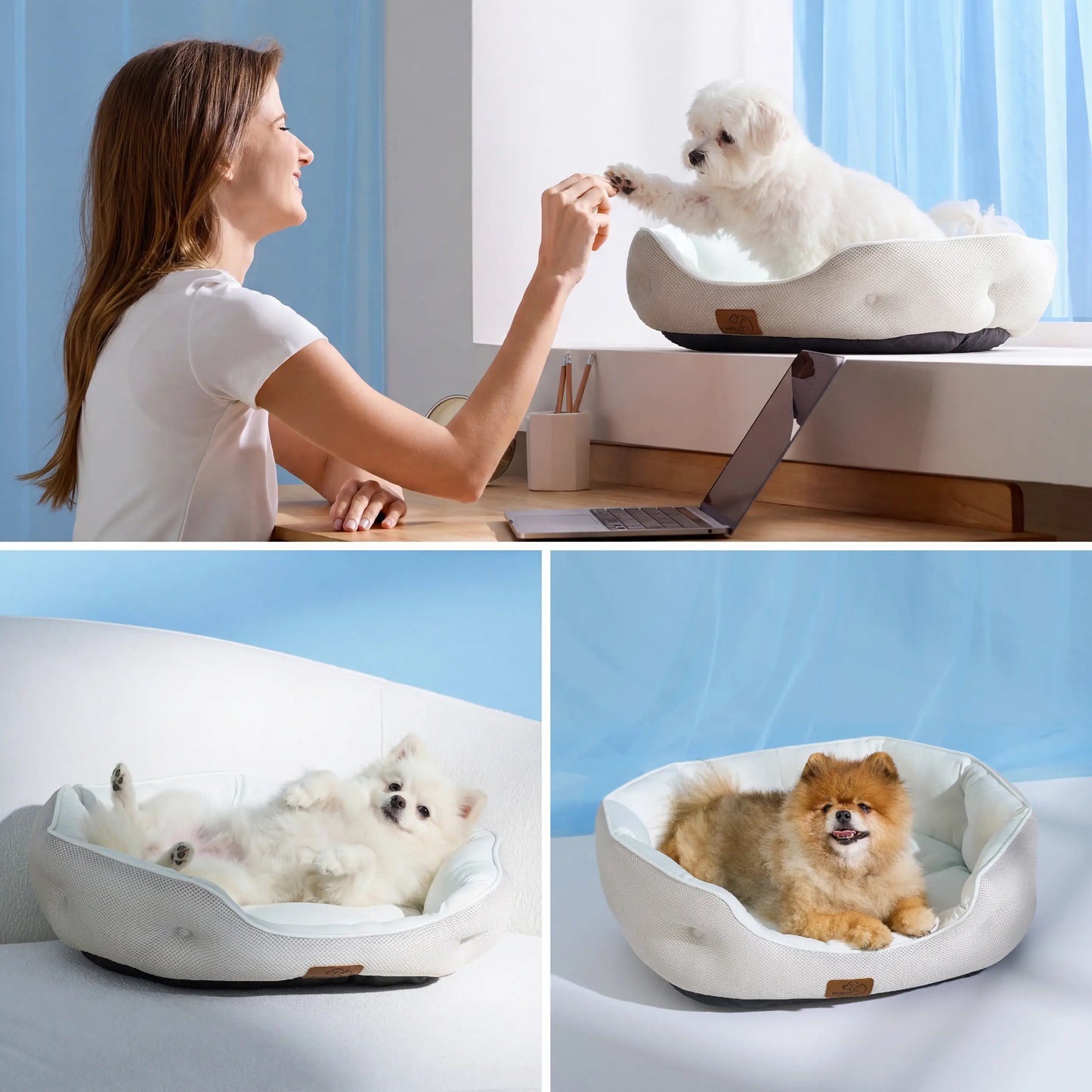 Bedsure Cooling Dog Beds for Small Dogs – Q-MAX>0.4 round Cat Beds for Indoor Cats, Washable Pet Bed for Puppy and Kitten with Slip-Resistant Bottom Summervibes
