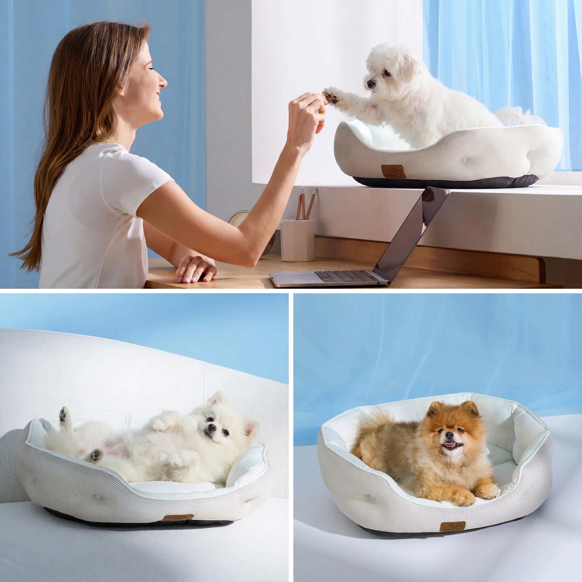 Bedsure Cooling Dog Beds for Small Dogs – Q-MAX>0.4 round Cat Beds for Indoor Cats, Washable Pet Bed for Puppy and Kitten with Slip-Resistant Bottom Summervibes