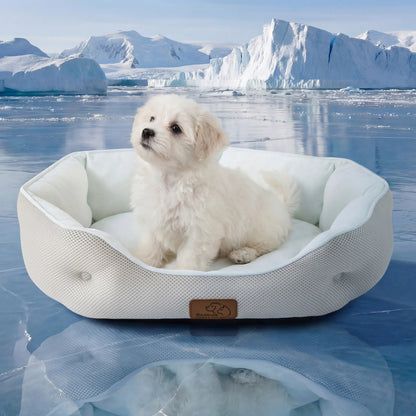 Bedsure Cooling Dog Beds for Small Dogs – Q-MAX>0.4 round Cat Beds for Indoor Cats, Washable Pet Bed for Puppy and Kitten with Slip-Resistant Bottom Summervibes