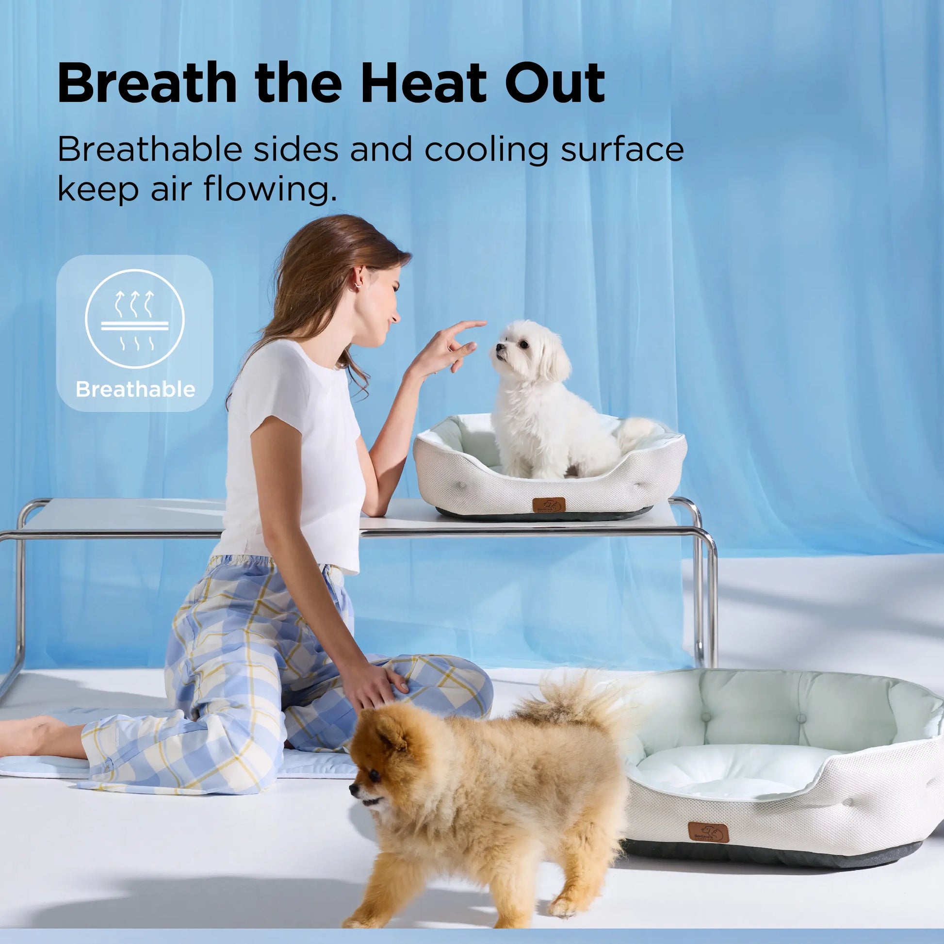 Bedsure Cooling Dog Beds for Small Dogs – Q-MAX>0.4 round Cat Beds for Indoor Cats, Washable Pet Bed for Puppy and Kitten with Slip-Resistant Bottom Summervibes