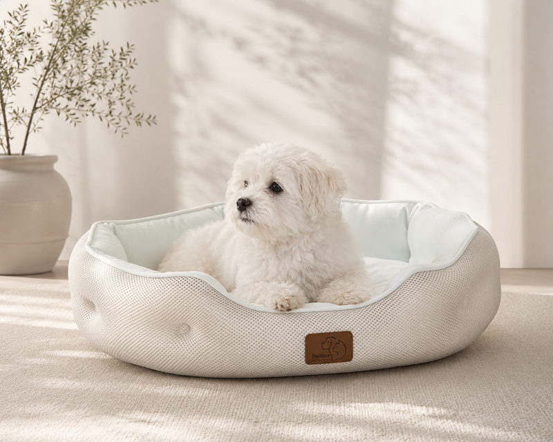 FreshPaw Cooling Bed — for dogs and cats